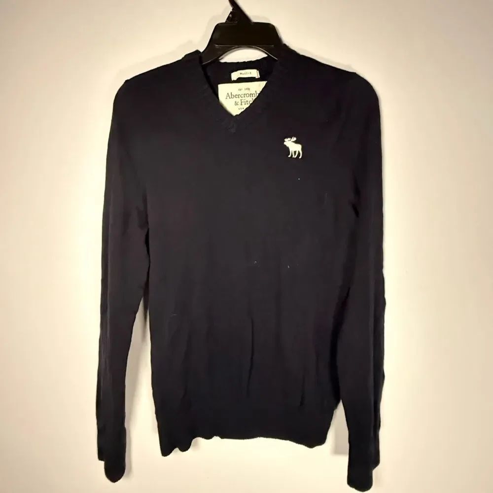 Abercrombie and Fitch Cashmere Blend Sweater Mens Large Blue V Neck Long Sleeve